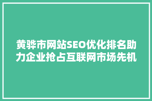 黄骅市网站SEO优化排名助力企业抢占互联网市场先机