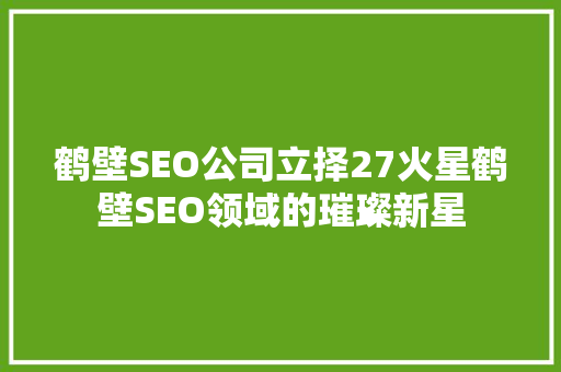 鹤壁SEO公司立择27火星鹤壁SEO领域的璀璨新星