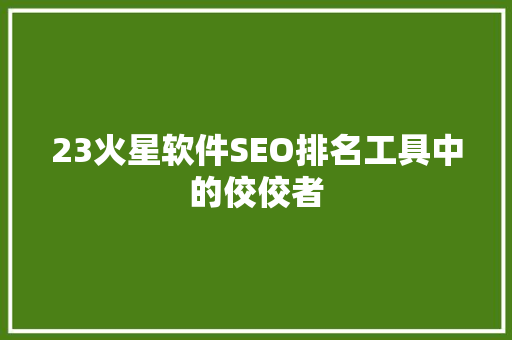 23火星软件SEO排名工具中的佼佼者