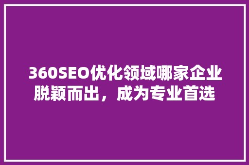 360SEO优化领域哪家企业脱颖而出，成为专业首选