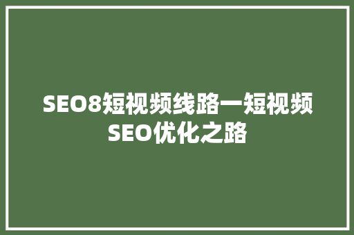 SEO8短视频线路一短视频SEO优化之路