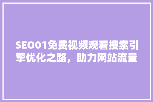 SEO01免费视频观看搜索引擎优化之路，助力网站流量翻倍
