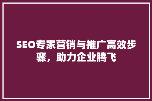 SEO专家营销与推广高效步骤，助力企业腾飞