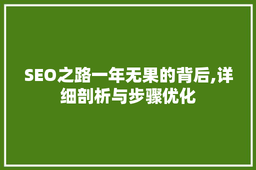 SEO之路一年无果的背后,详细剖析与步骤优化