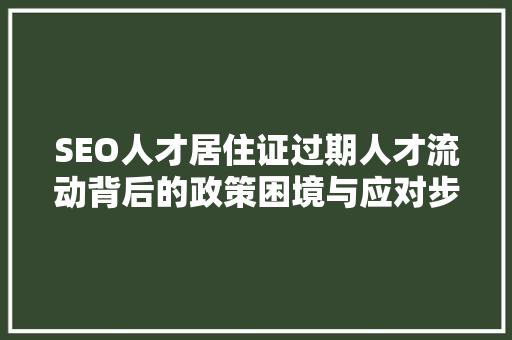 SEO人才居住证过期人才流动背后的政策困境与应对步骤