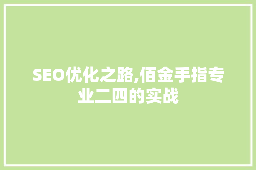 SEO优化之路,佰金手指专业二四的实战