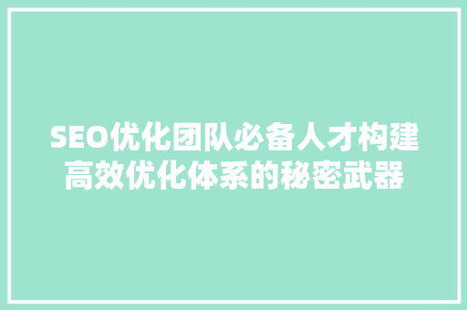 SEO优化团队必备人才构建高效优化体系的秘密武器