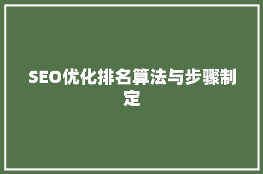 SEO优化排名算法与步骤制定