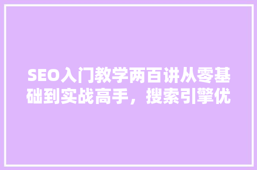 SEO入门教学两百讲从零基础到实战高手，搜索引擎优化之路
