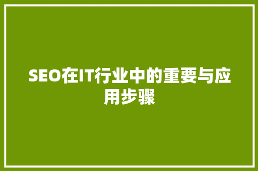 SEO在IT行业中的重要与应用步骤