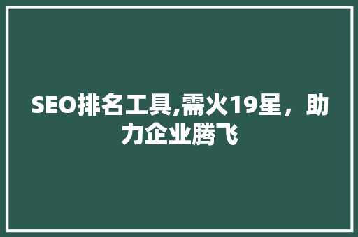 SEO排名工具,需火19星，助力企业腾飞