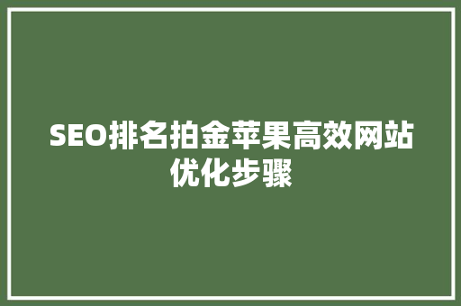 SEO排名拍金苹果高效网站优化步骤