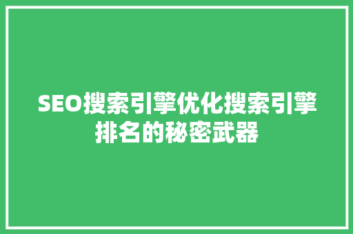 SEO搜索引擎优化搜索引擎排名的秘密武器