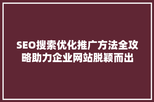 SEO搜索优化推广方法全攻略助力企业网站脱颖而出