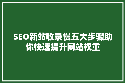 SEO新站收录慢五大步骤助你快速提升网站权重