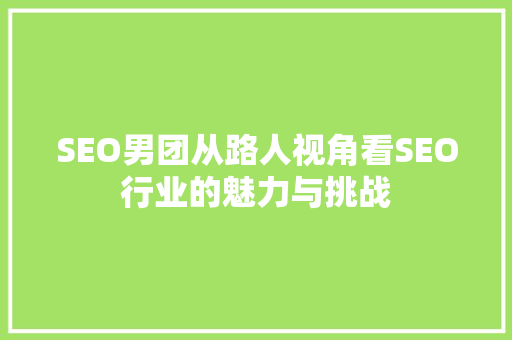 SEO男团从路人视角看SEO行业的魅力与挑战