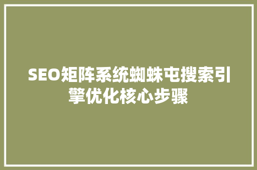 SEO矩阵系统蜘蛛屯搜索引擎优化核心步骤