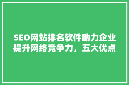 SEO网站排名软件助力企业提升网络竞争力，五大优点助您脱颖而出