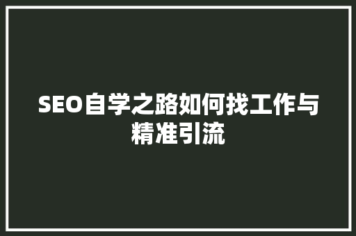 SEO自学之路如何找工作与精准引流