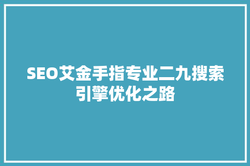 SEO艾金手指专业二九搜索引擎优化之路