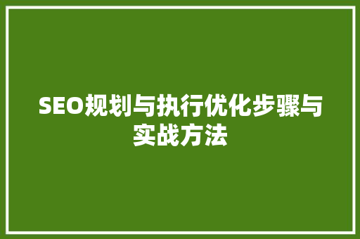 SEO规划与执行优化步骤与实战方法
