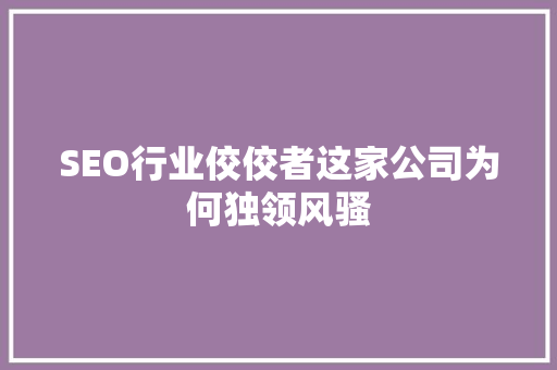 SEO行业佼佼者这家公司为何独领风骚