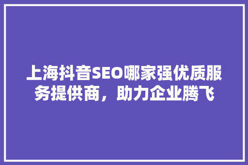 上海抖音SEO哪家强优质服务提供商，助力企业腾飞