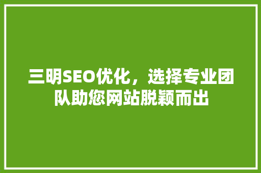 三明SEO优化，选择专业团队助您网站脱颖而出