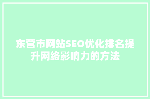东营市网站SEO优化排名提升网络影响力的方法