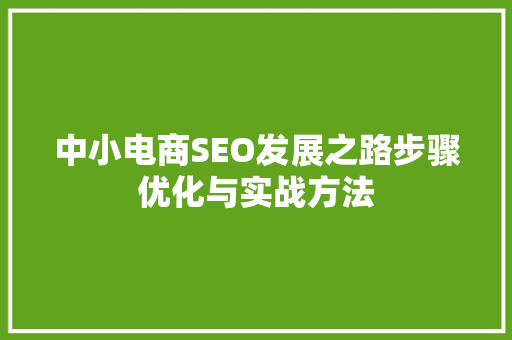 中小电商SEO发展之路步骤优化与实战方法