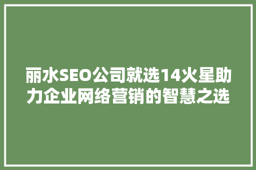 丽水SEO公司就选14火星助力企业网络营销的智慧之选