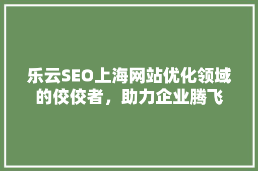 乐云SEO上海网站优化领域的佼佼者，助力企业腾飞