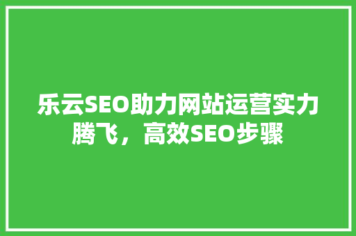 乐云SEO助力网站运营实力腾飞，高效SEO步骤