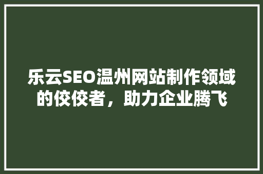 乐云SEO温州网站制作领域的佼佼者，助力企业腾飞