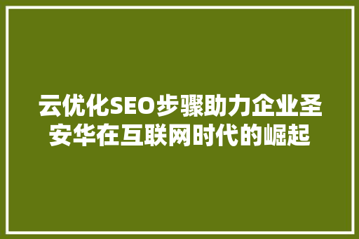 云优化SEO步骤助力企业圣安华在互联网时代的崛起