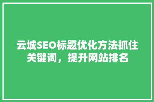 云城SEO标题优化方法抓住关键词，提升网站排名