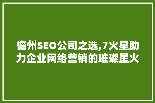 儋州SEO公司之选,7火星助力企业网络营销的璀璨星火