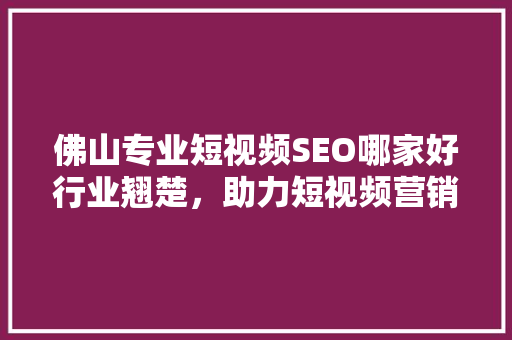 佛山专业短视频SEO哪家好行业翘楚，助力短视频营销新高峰