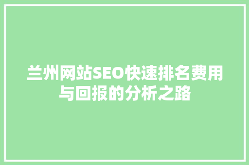 兰州网站SEO快速排名费用与回报的分析之路