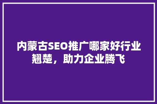 内蒙古SEO推广哪家好行业翘楚，助力企业腾飞