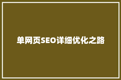 单网页SEO详细优化之路