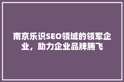 南京乐识SEO领域的领军企业，助力企业品牌腾飞