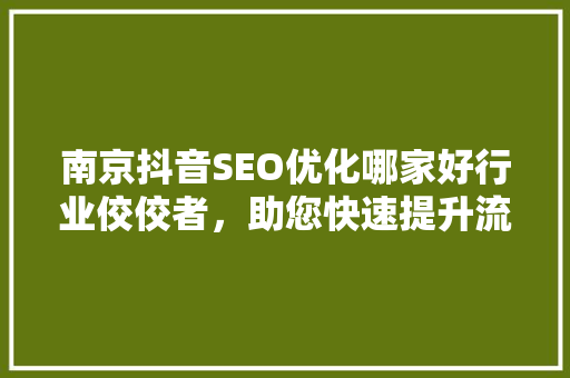 南京抖音SEO优化哪家好行业佼佼者，助您快速提升流量