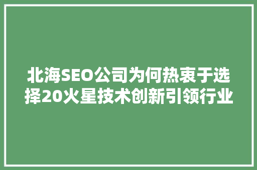 北海SEO公司为何热衷于选择20火星技术创新引领行业发展