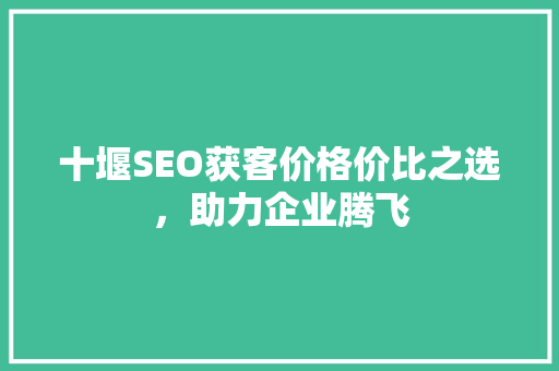十堰SEO获客价格价比之选，助力企业腾飞