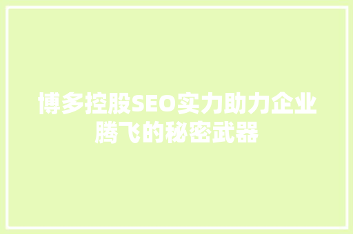 博多控股SEO实力助力企业腾飞的秘密武器