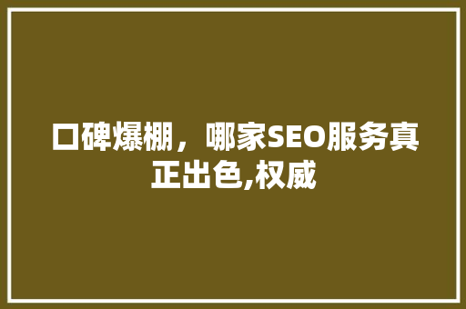 口碑爆棚，哪家SEO服务真正出色,权威