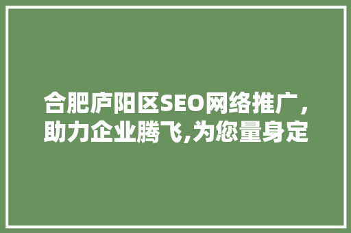 合肥庐阳区SEO网络推广，助力企业腾飞,为您量身定制最佳方法