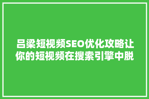 吕梁短视频SEO优化攻略让你的短视频在搜索引擎中脱颖而出