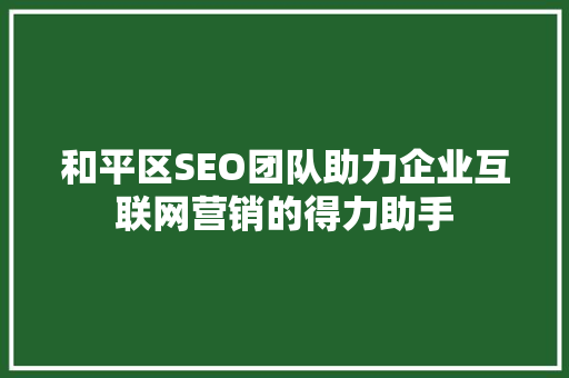 和平区SEO团队助力企业互联网营销的得力助手